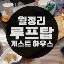 루프탑;달비슬 | 월정리 루프탑 게스트하우스 1인실 후기!
