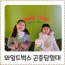 곤충연구소 실내 | 인천 실내 곤충체험 아이와 가볼만한곳 월미도 와일드벅스 곤충탐험대 후기