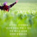 언제나토요일
