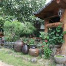 자연을 닮은 소박한 집 이미지