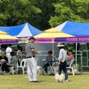 왈가왈부 반려견센터 이미지