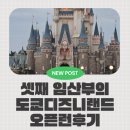 [도쿄여행] 23주 임산부의 애둘 데리고 도쿄디즈니랜드 다녀온 후기
