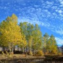 김윤아산부인과의원 이미지