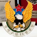 13항공단