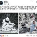 눈 속 철야 시위로 유명해진 사진이 의도된 거라는 의견 이미지