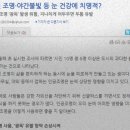비렉 이미지