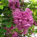 고경면행정복지센터 이미지