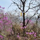 당산화원 이미지