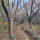 황령산유원지 생태숲 | 황령산 둘레길 탐색, 코스2/N (구상반려암~황령산유원지생태숲)