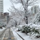 법무사김린경사무소 이미지