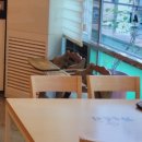 알타워 | 수원 아주대 회전초밥 - 가츠스시 아이와 함께 가기 좋은 우만동맛집