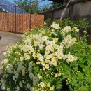 영덕 스테이 | 동해안 감성숙소 추천 스테이 이플 영덕 다녀온 후기