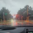 선국목장 이미지