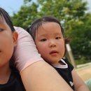 삼평어린이공원 이미지