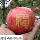 청송촌놈사과