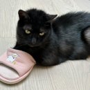 글로리 짐 이미지