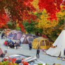 브라보캠핑장 이미지