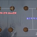 장해농장 이미지