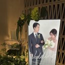 입큰개구리노래연습장 | W1. 강남 트라디노이 스몰웨딩 2월 말 내 결혼식 후기 1부 (스압주의)