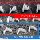 티엠시 이미지