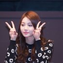 데이지해