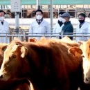 명성농장 이미지