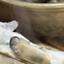 창수식당 | 부산 근교 드라이브 코스 추천 가덕도 운창수산에서 즐기는 굴 파티