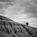 markers(마커스) 이미지