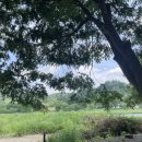 후평숲캠핑장 이미지