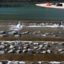 광탄유원지 이미지