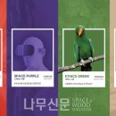 무드무드 이미지