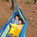 봉곡유치원 이미지