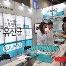 제일코리아 이미지