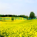 여행엔주 이미지