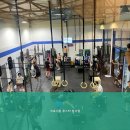 크로스핏 루스터 이미지