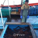 오첩반상 이미지