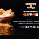 와우펫앤쥬 대구점 이미지