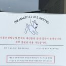 [경기도 파주] 넓은 잔디밭이 있는 카페 피스피스 🥧 (주차o)