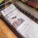 신디다육 이미지