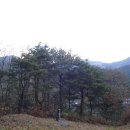 김극뉴 묘역 Daum카페