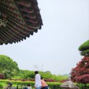 세종 베어 트리 파크 방문 후기 - 곰도 보고 정원도 걷고, 온 가족이 행복했던 하루