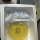 두리안매니아들 꼭드세요! 베트남 두리안 크레페케이크 내돈내산후기