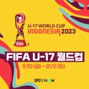[스포티비] 2023 FIFA U-17 월드컵 중계 안내 (준결승~결승) 이미지