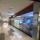 PLAY G(플레이 지) 이미지