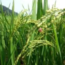 백학농장 이미지