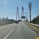 진도울돌목주말장터 이미지