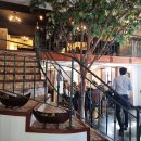 리엔차이 이미지