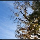 달빛아래채 이미지