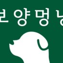 멍냥스토어