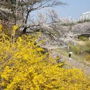 경수대로868번길 이미지